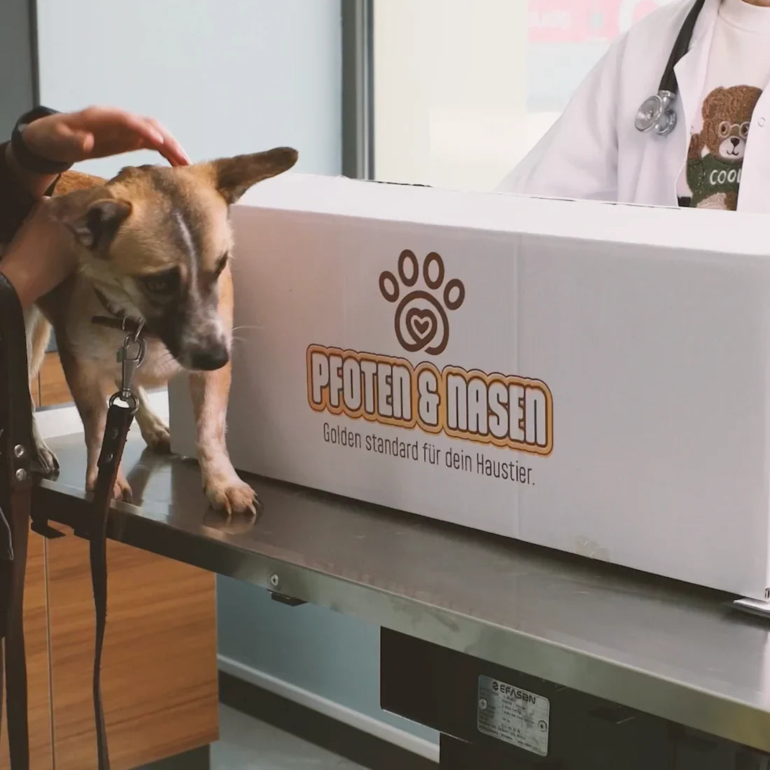 Senior Pet Care: Tips for Caring for Your Aging Furry Friend