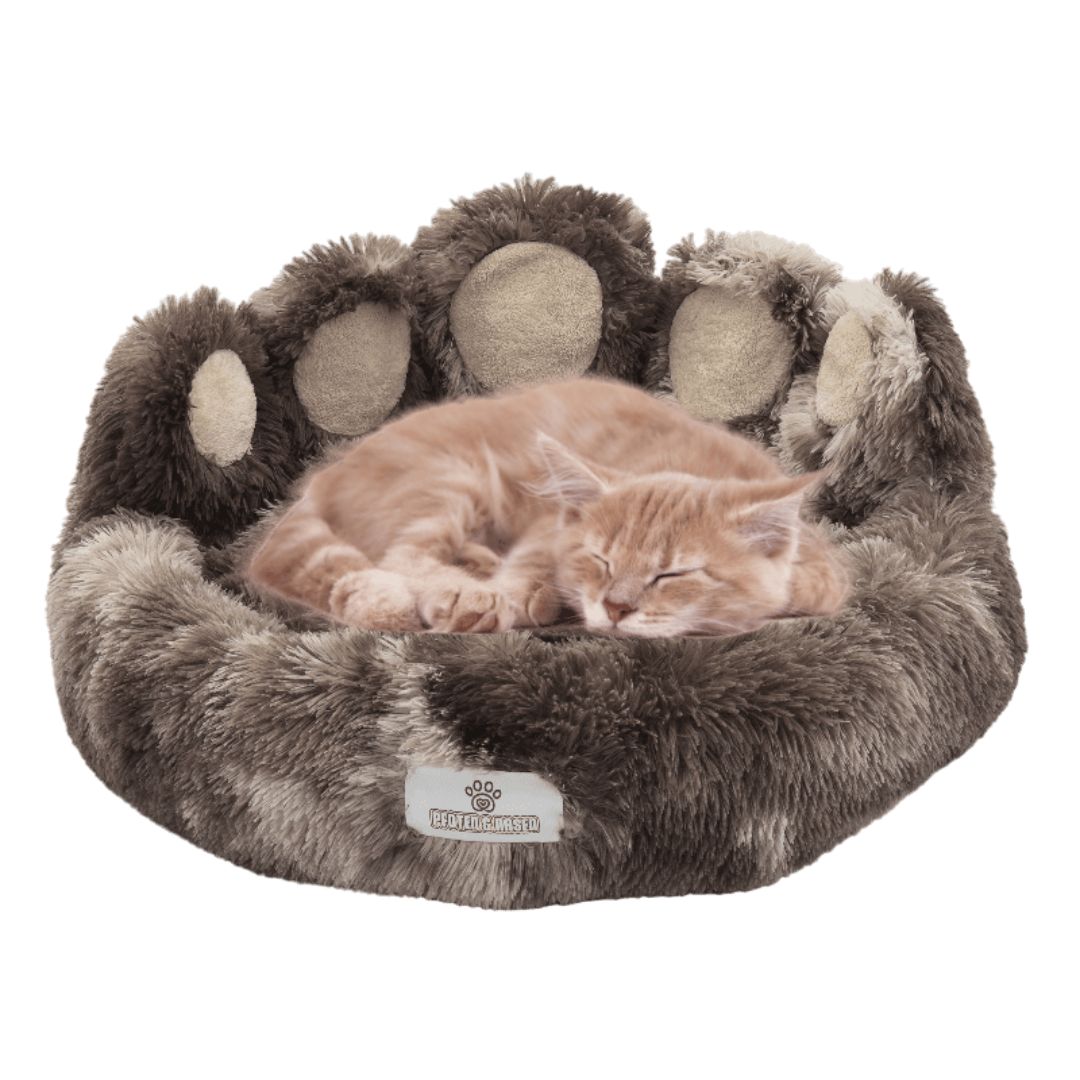 Paws&Noses™Exclusive Bear Paw Cat Bed