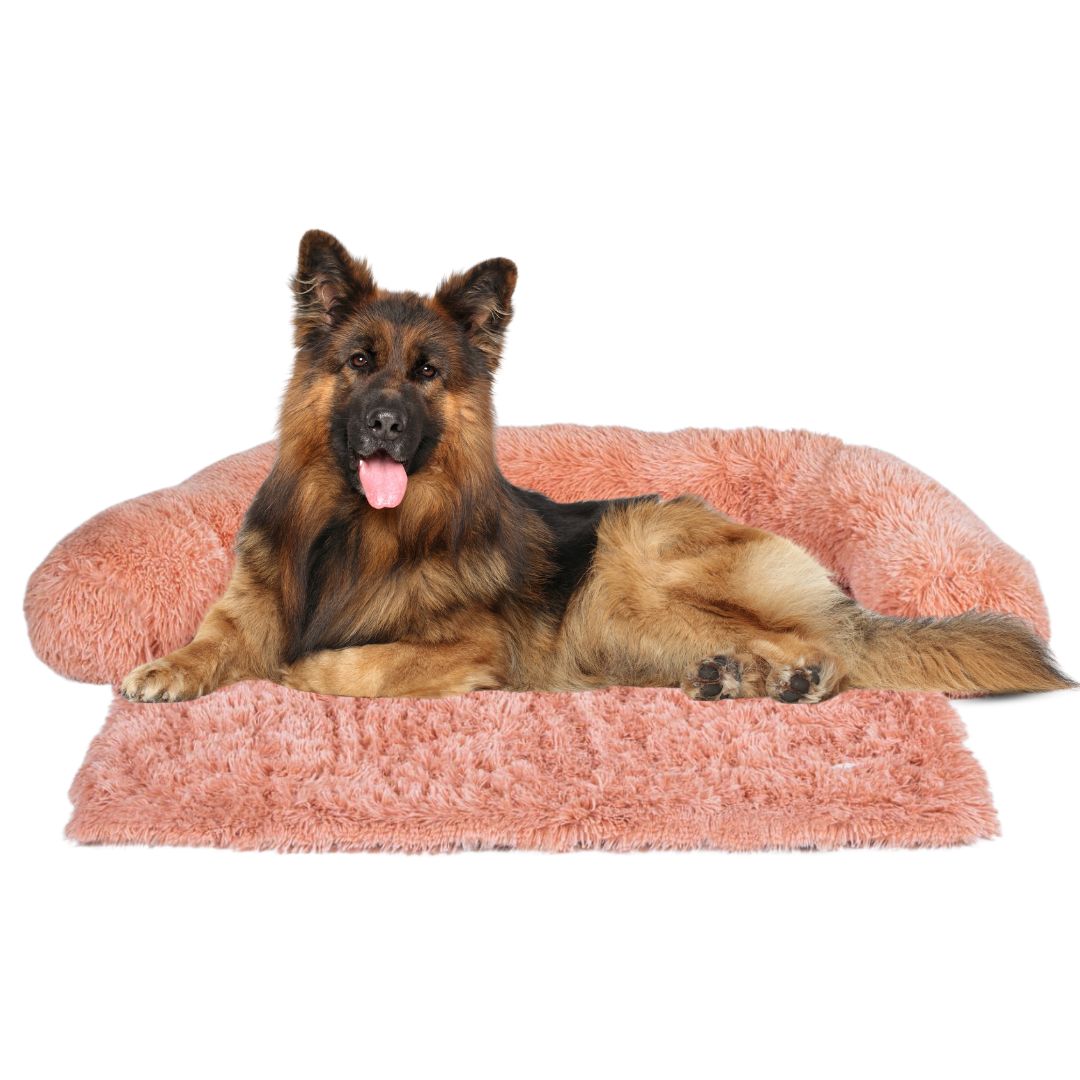 Intelligent Dog Bed - Premium Comfort & Protection