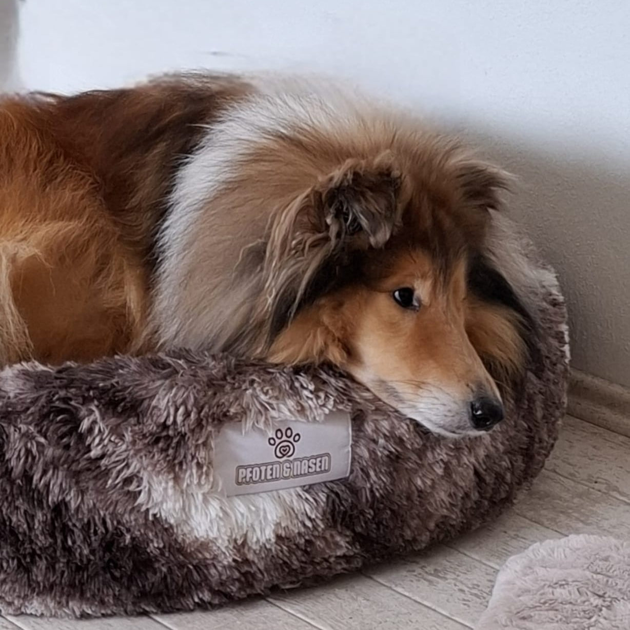 Hund schläft im Donut Hundebett Wolke 7
Flauschiges Hundekissen für kleine Hunde