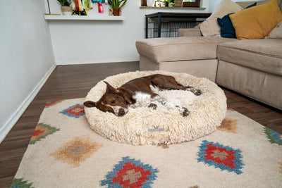 Warum das Wolke 7 Hundebett ein Muss für jeden Hund in Deutschland ist