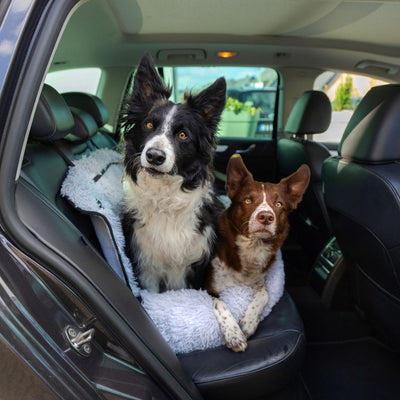 Pfoten&Nasen™2-in-1 Autositz und Bett für Hunde