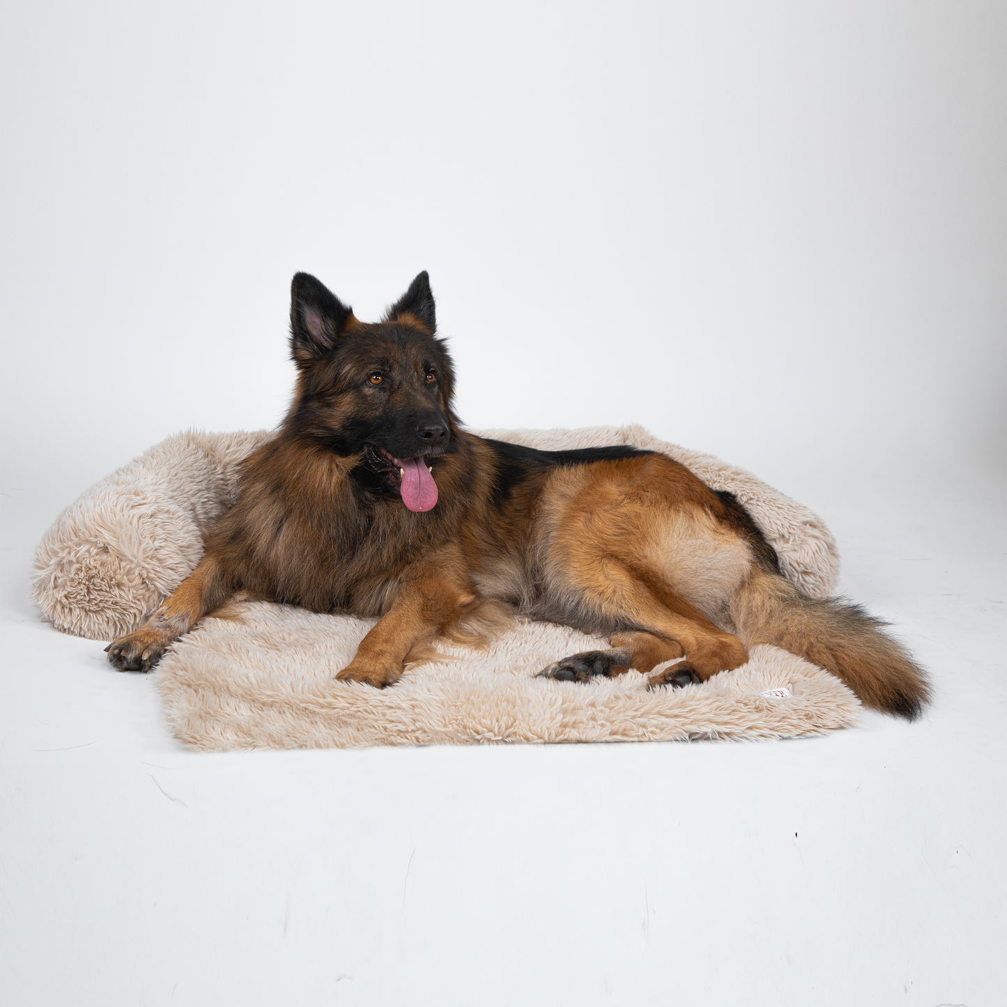 Pfoten&Nasen™Intelligente Hundebett Sofaschutz