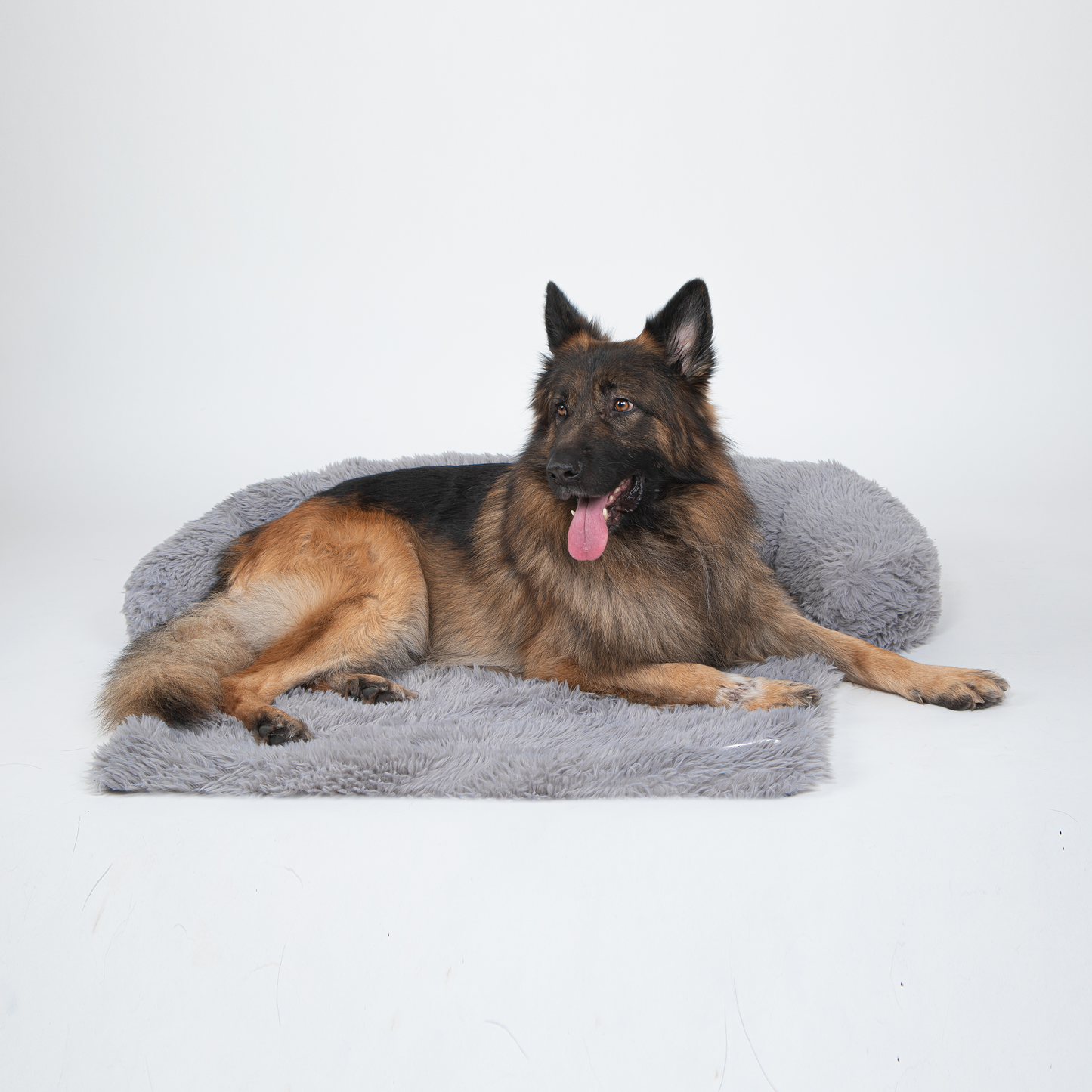 Pfoten&Nasen™Intelligente Hundebett Sofaschutz