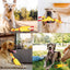 Schreiendes Gummihuhn Hundespielzeug