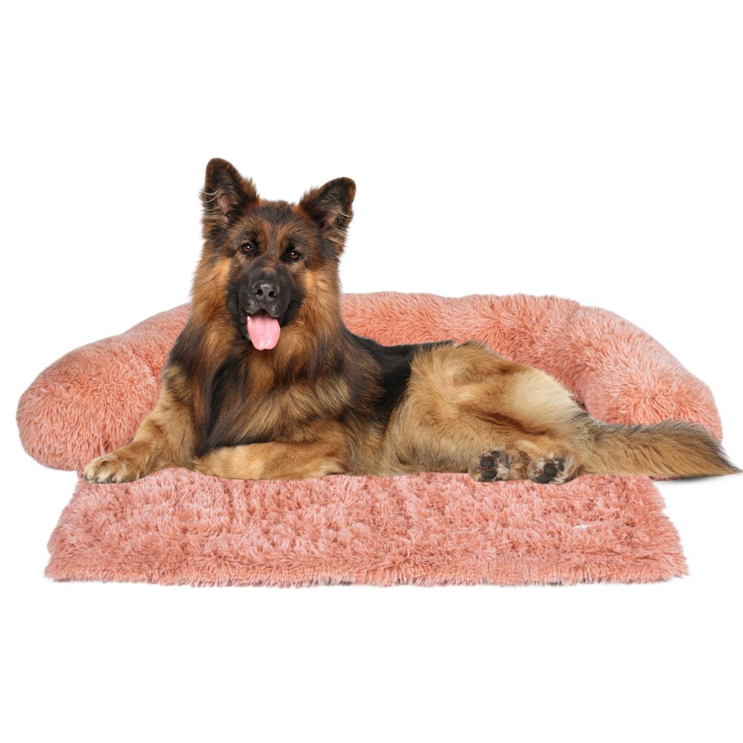 Pfoten&Nasen™Intelligente Hundebett Sofaschutz