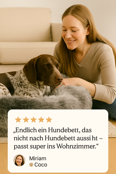 Langhaariger Hund im grauen flauschigen Hundebett – perfekte Passform für mittelgroße Hunde