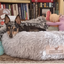 Deluxe 'Wolke 7' hundebett