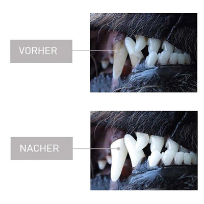 Hunde-Zahnbürste mit Kauspielzeug