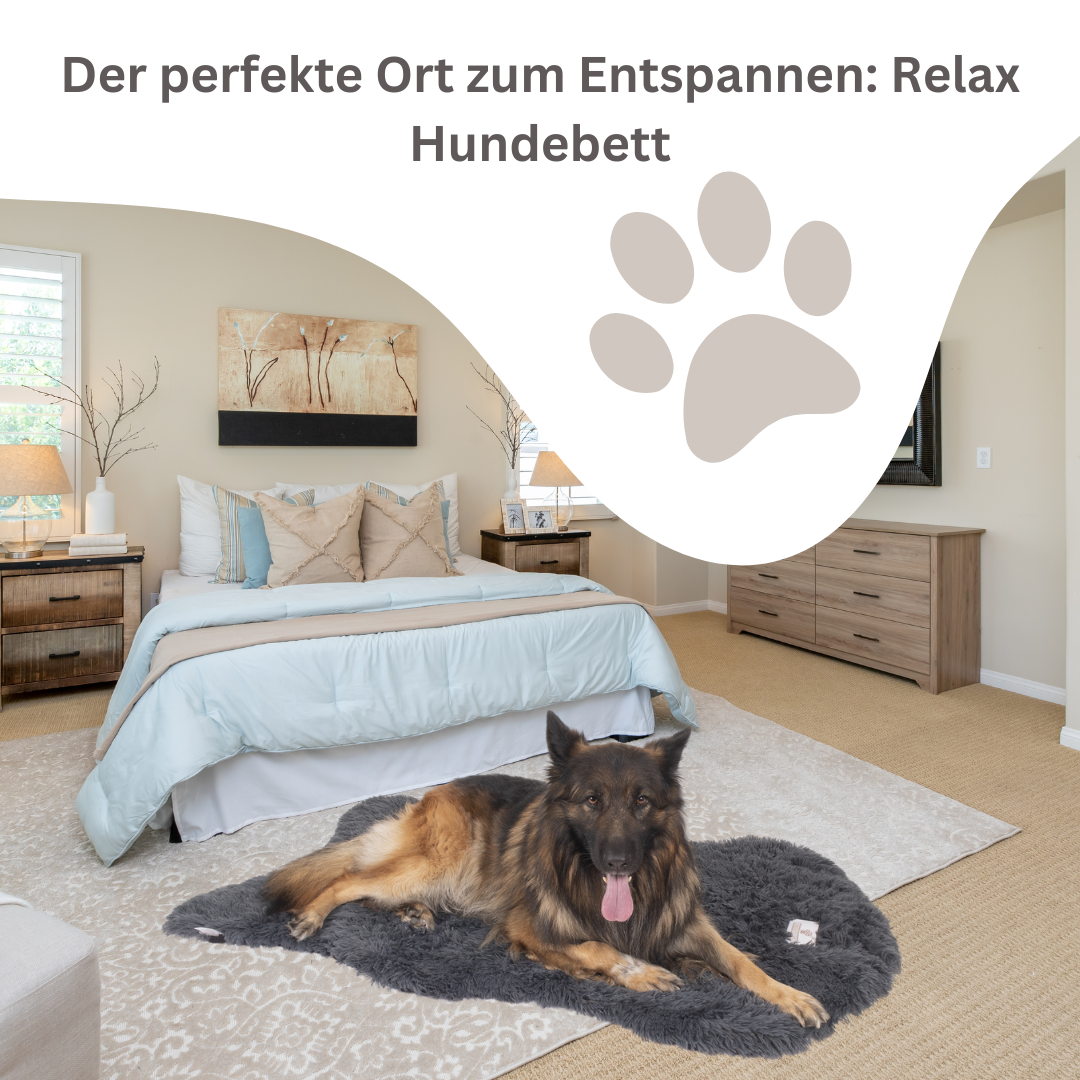 Pfoten&Nasen™Orthopädisches Hundebett